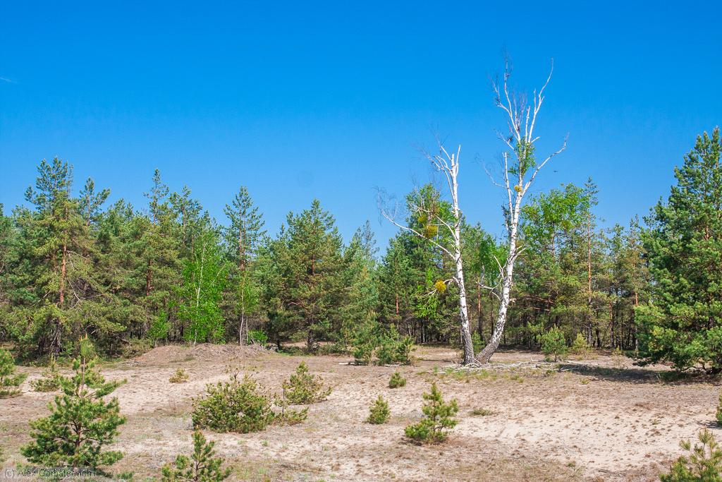 �������� �������