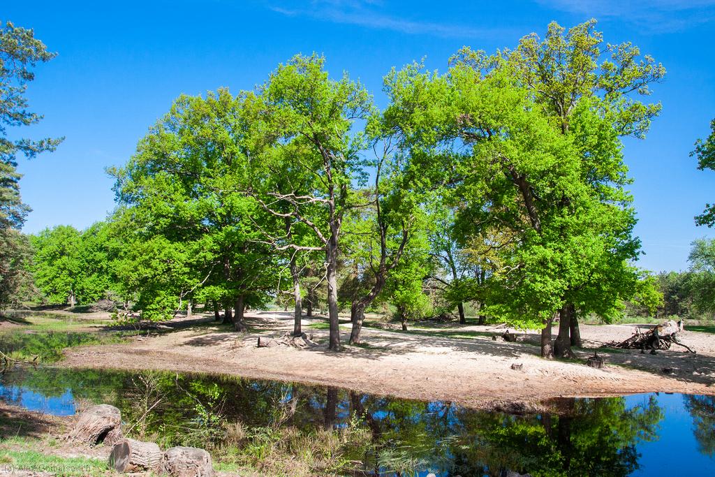 ������� �� ������ �. �������