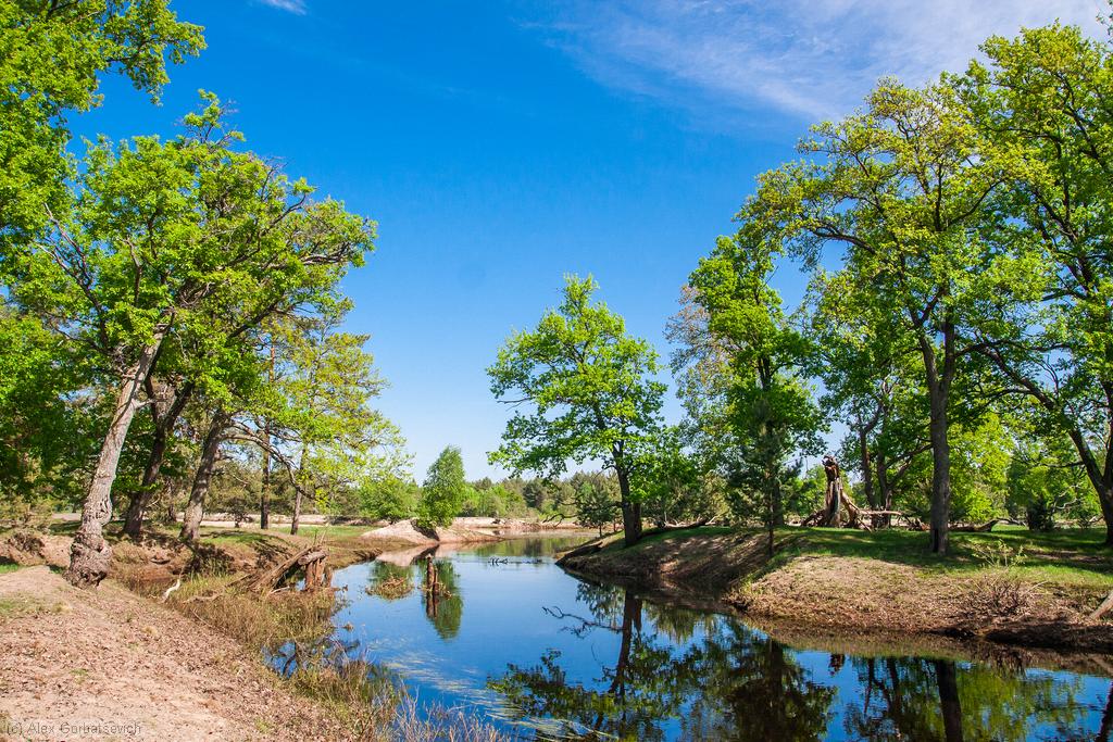 ������� �� ������ �. �������