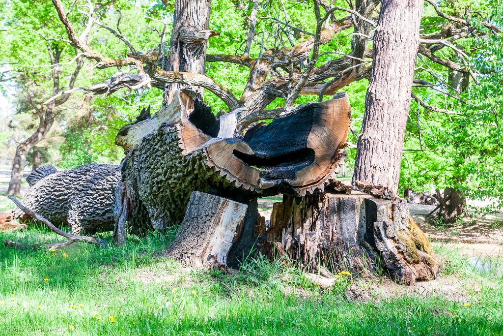 ���������� �����