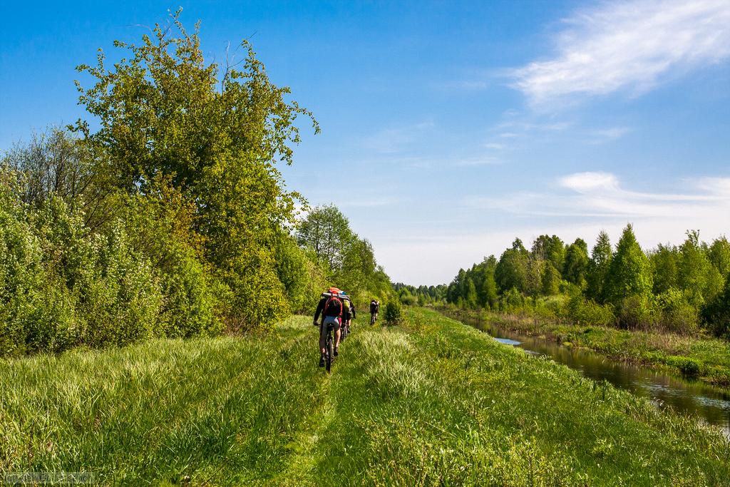 ������� ������ ����� ������