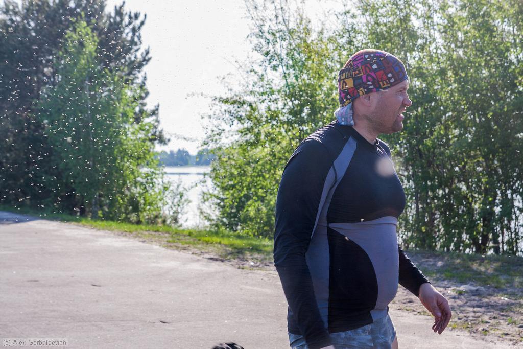 ������ ���� �������