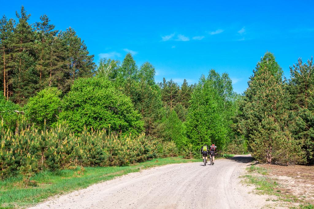 �� ��������