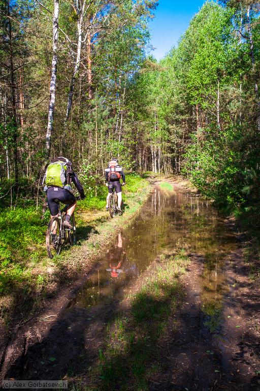 ������� ��������