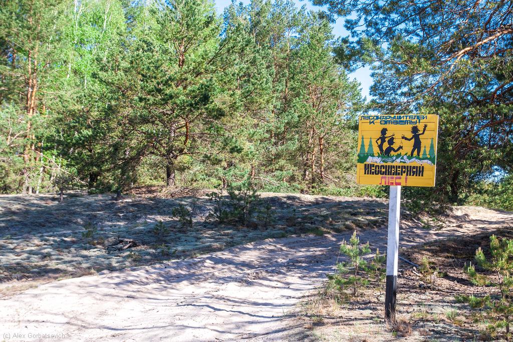 ������ � ���