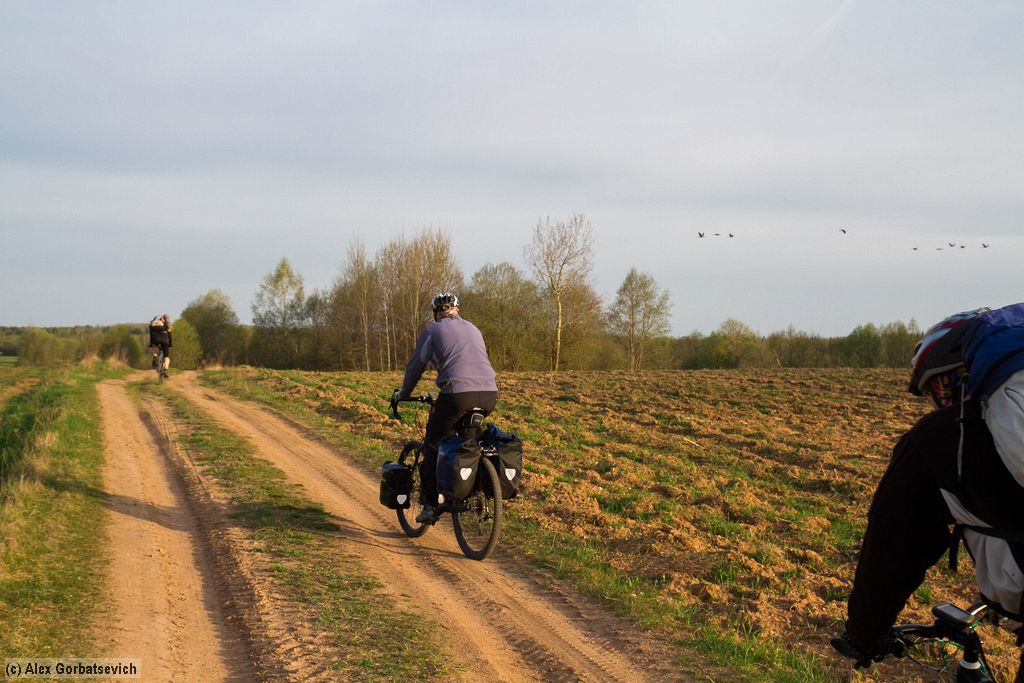 � ������ �� �������