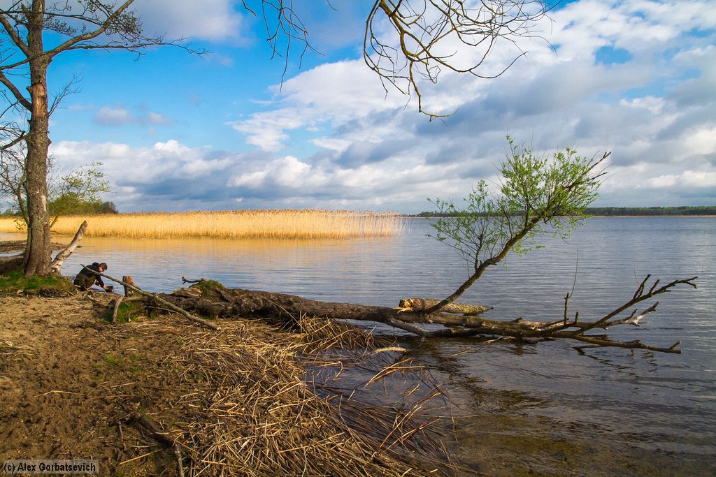 �� ������