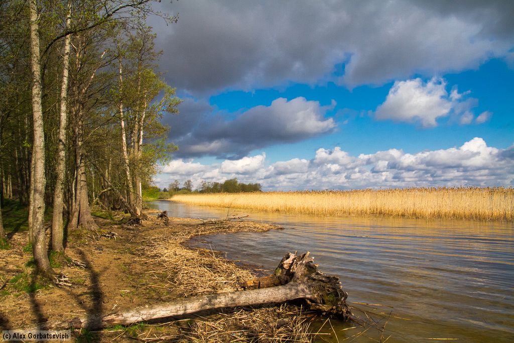 �� ������