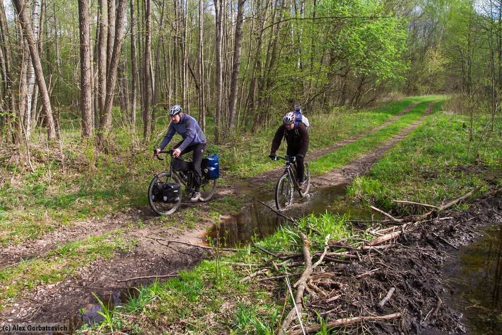 ����� ���� ������