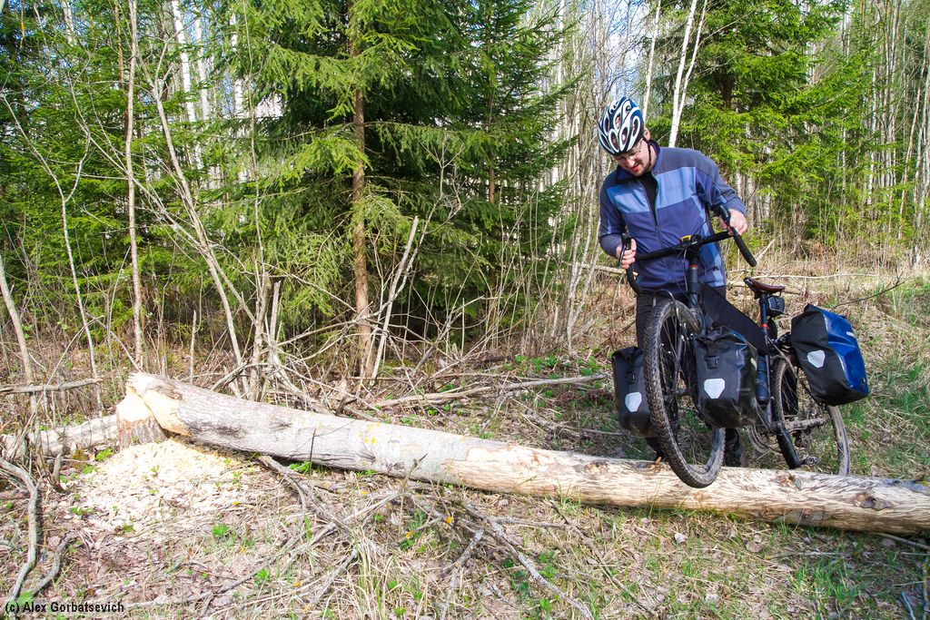 �������� ������