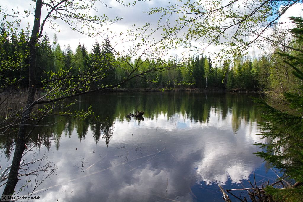 ������ �����