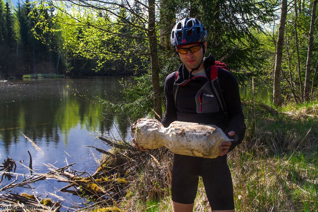 �������� ������, ��� ����� ���� ����