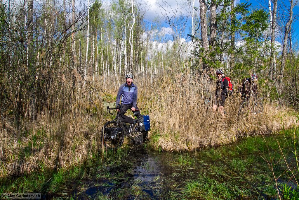 ���� ������ ���