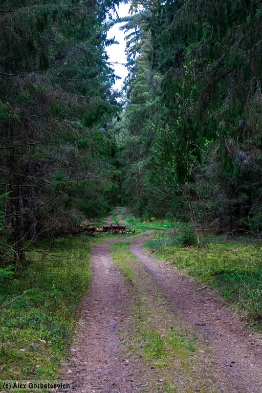 ������ �������