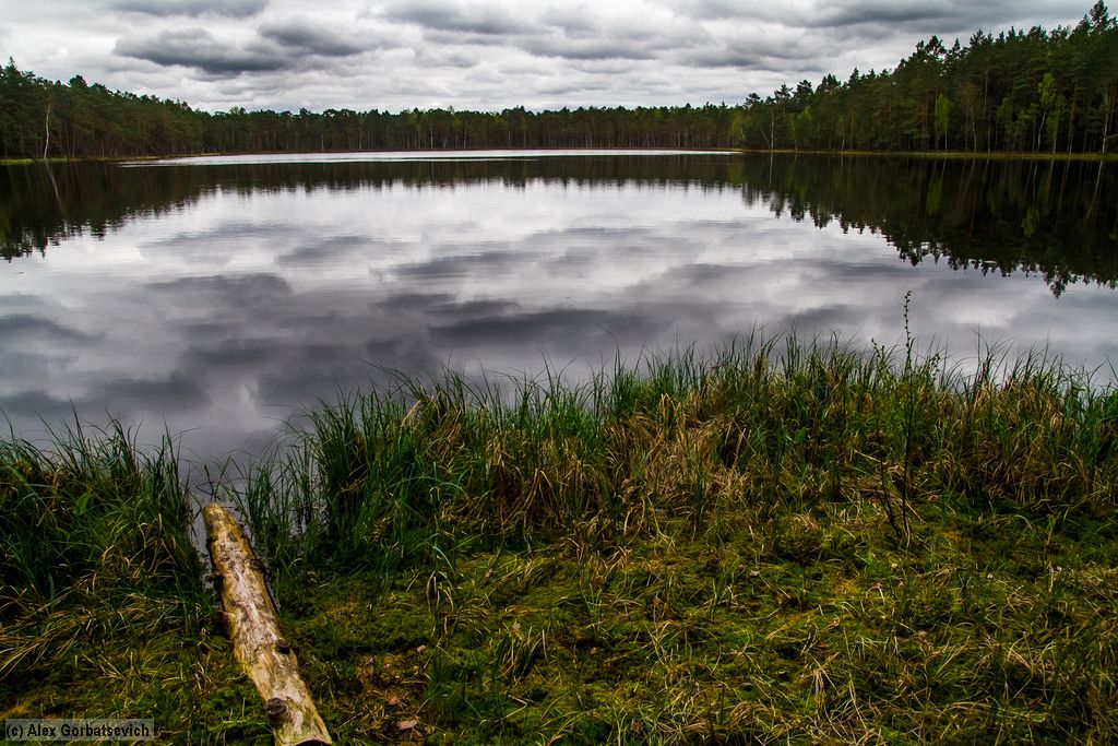 �� ������ ������� �����