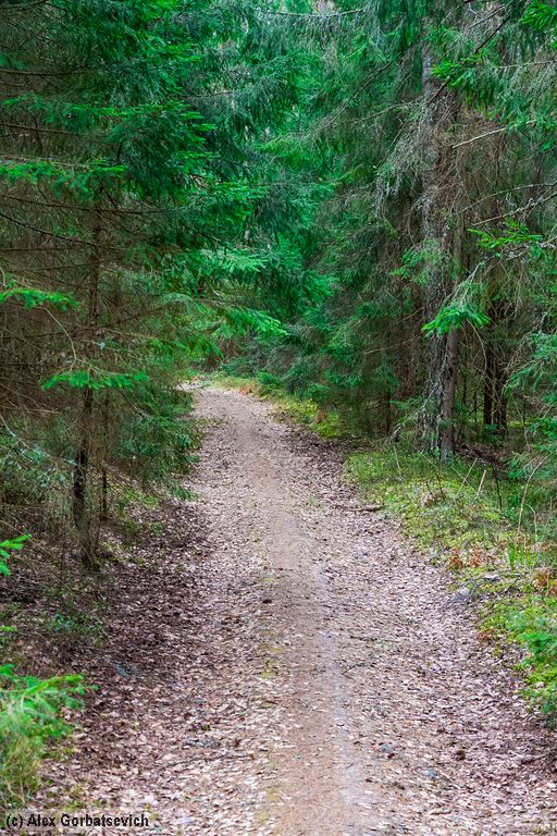 ������ �������