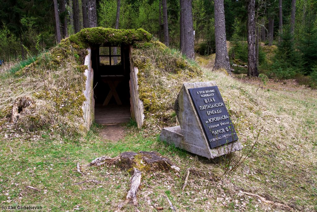 ���� ������������ �������