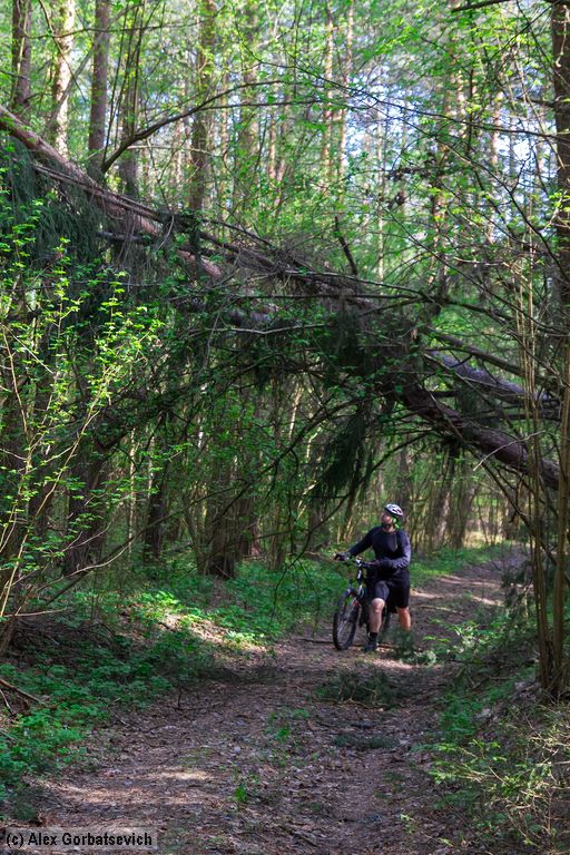 ��� ��� �����..