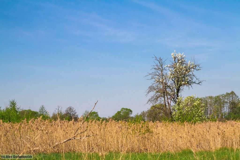 �� ��������� ���