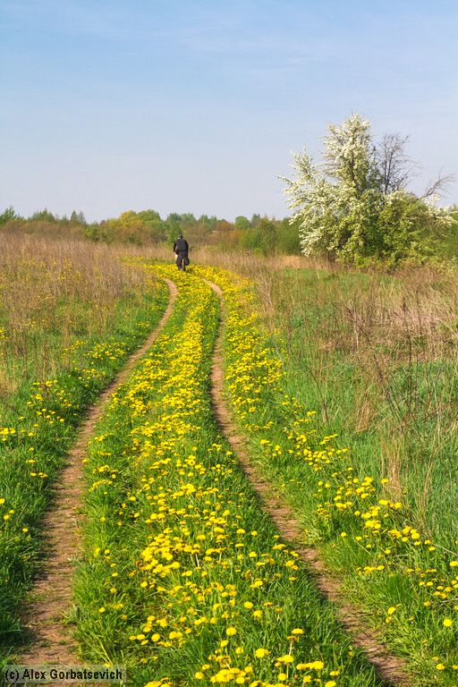 ������������� ������