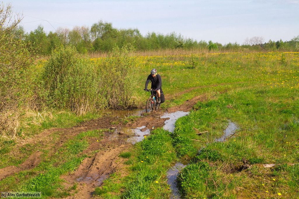 ����� ����