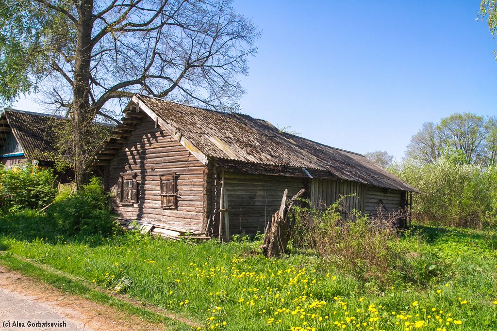 ����������� ���