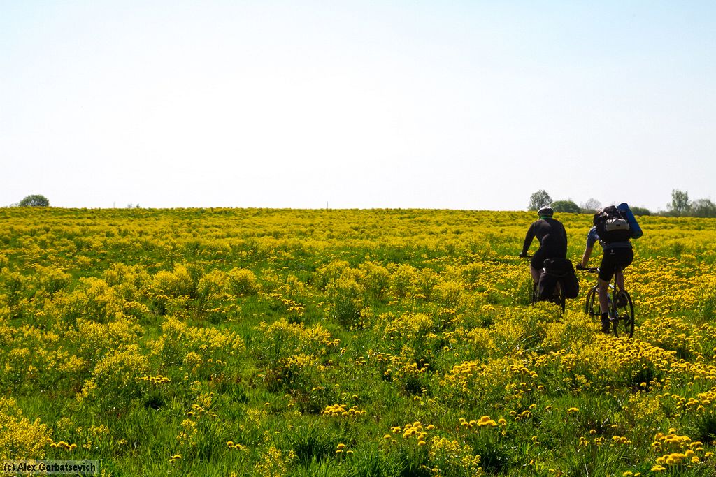 ����� ����������