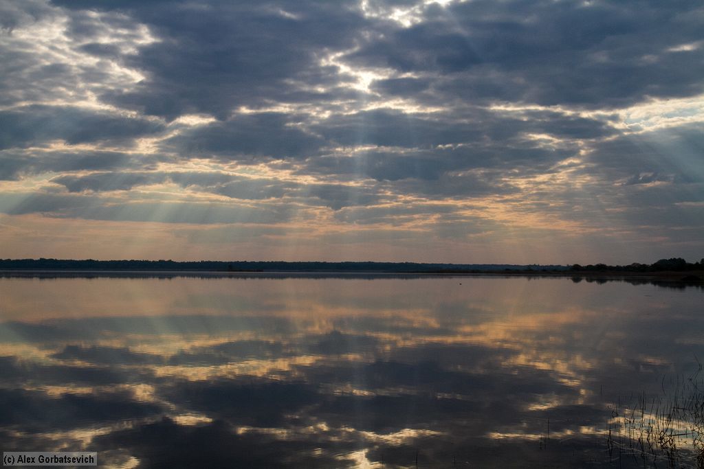 �� ��������