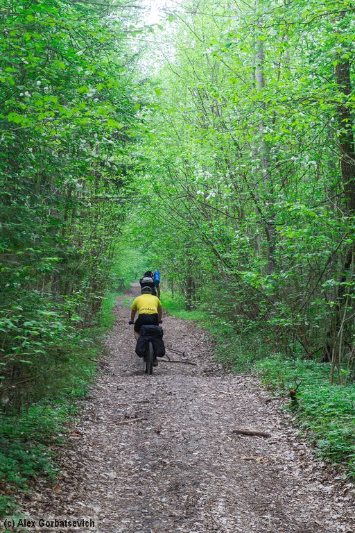 ������� ����� �� ������