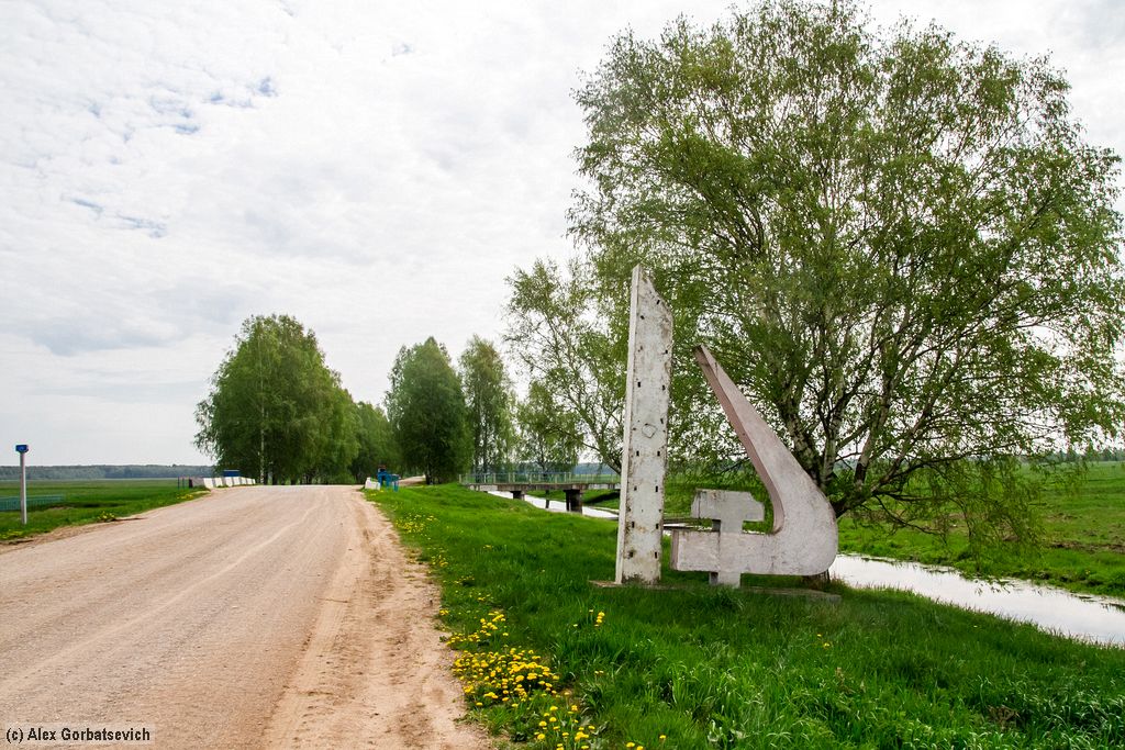 41