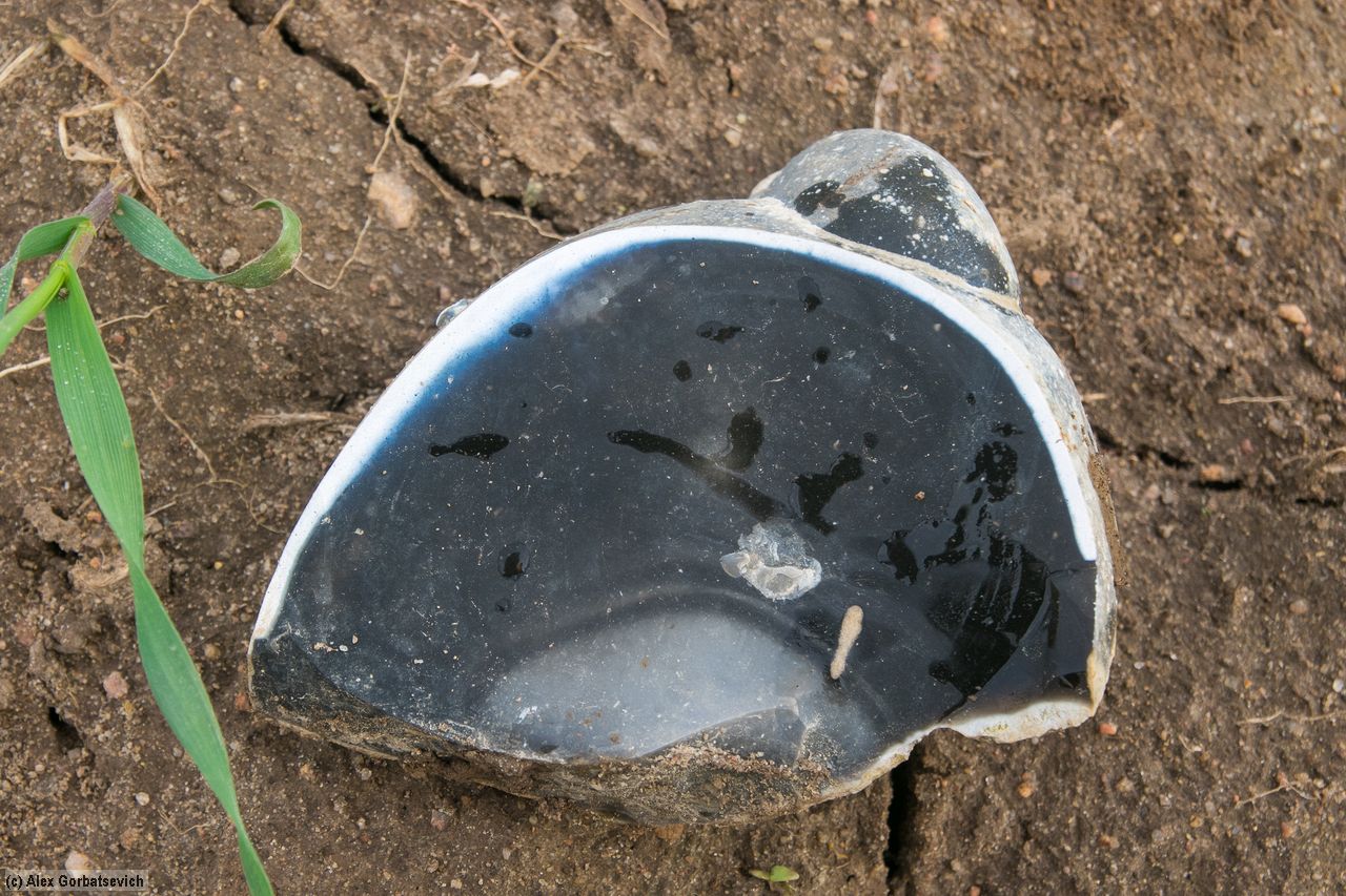 �������!