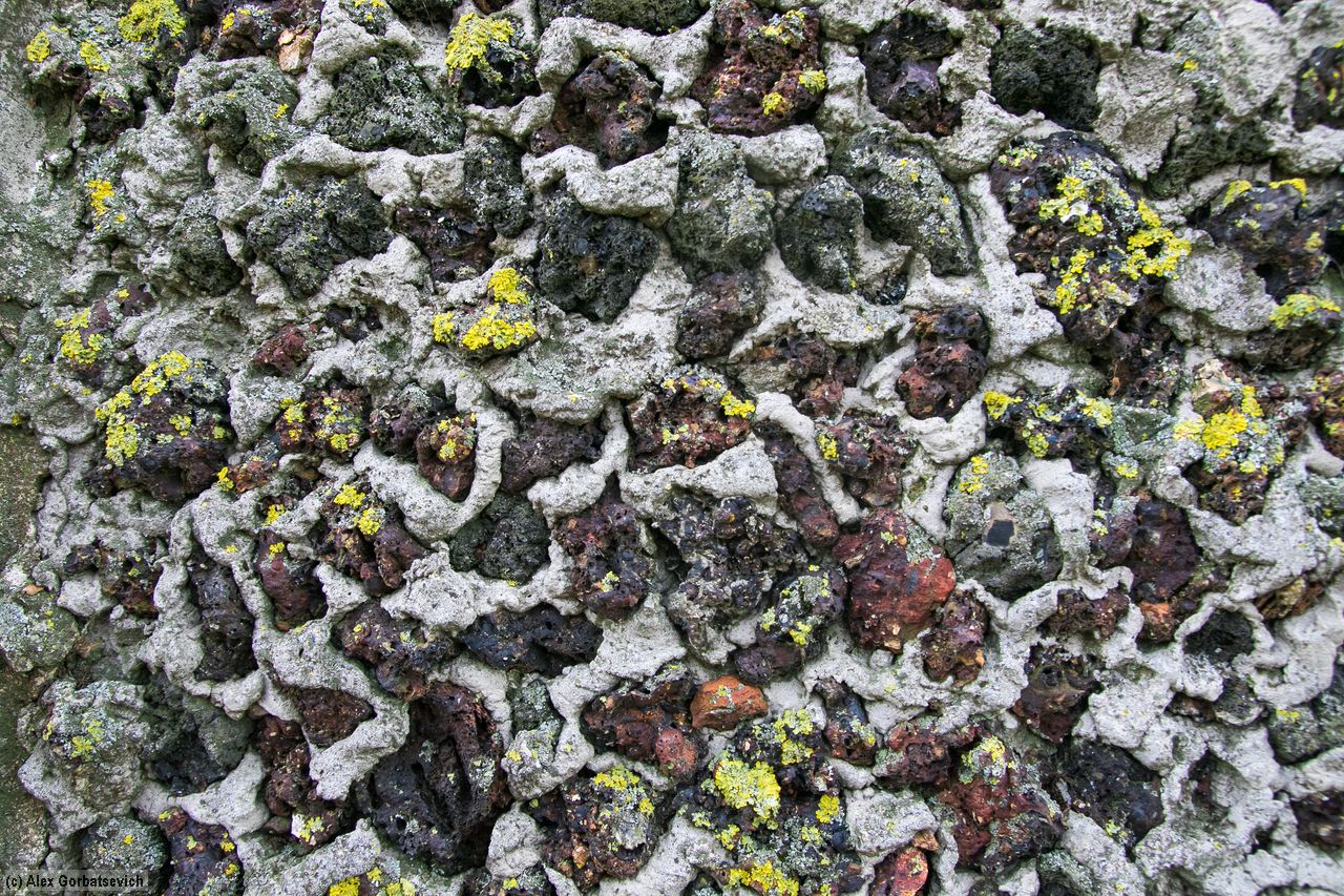 ������ �� �����