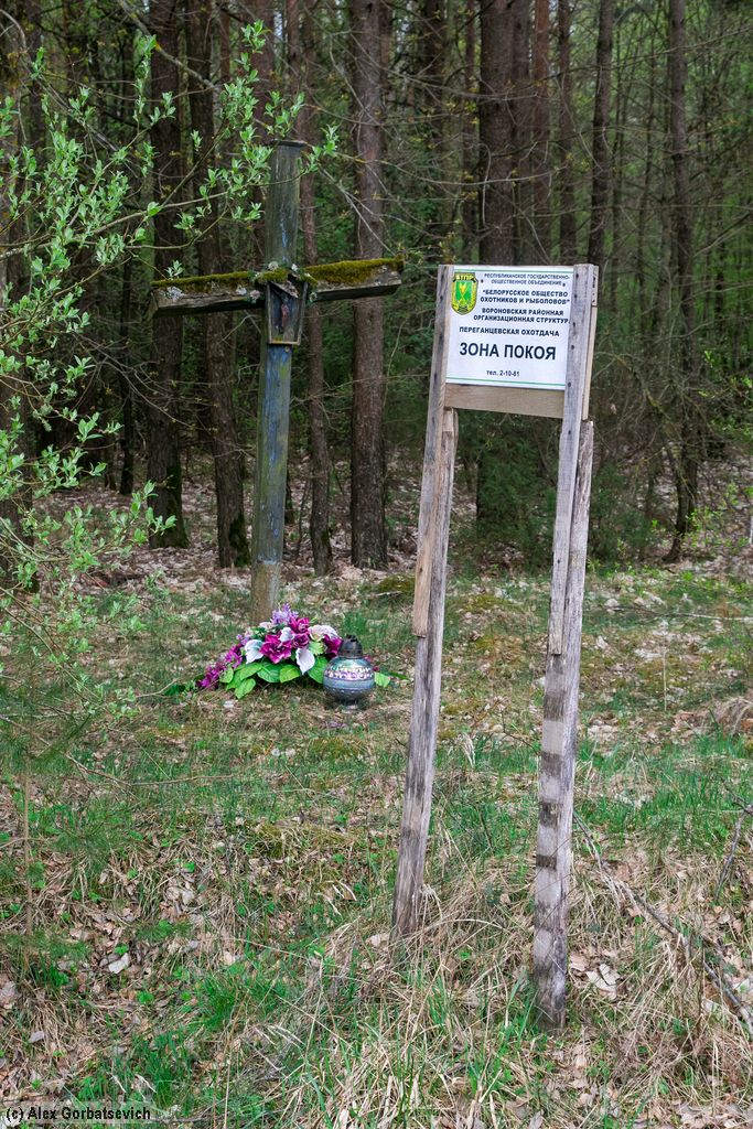 ���� �����. �������