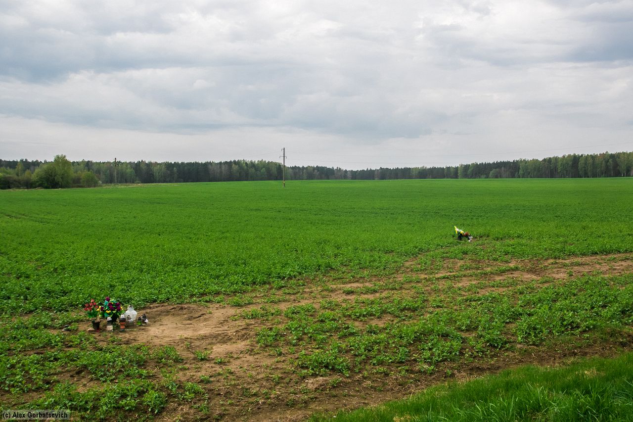 ��������...