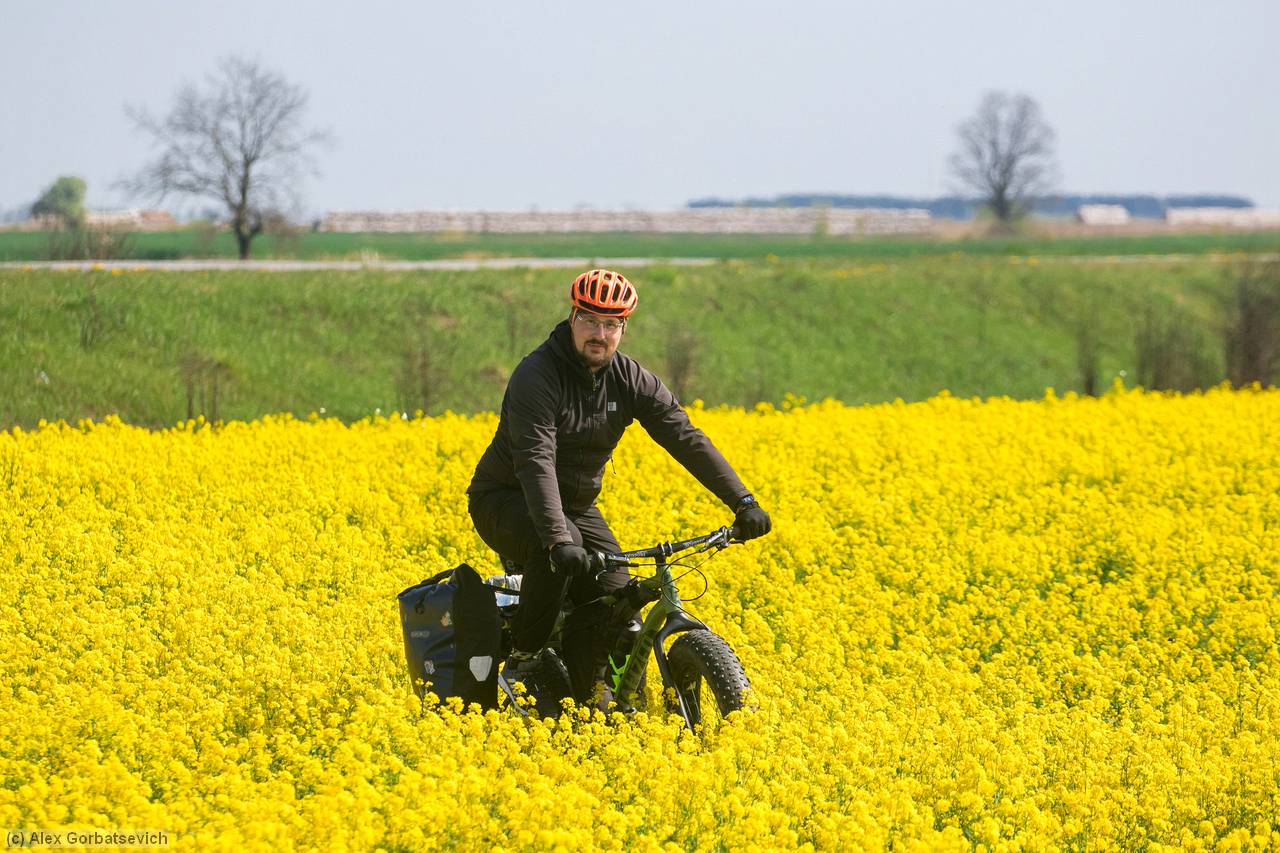 � �������� ����