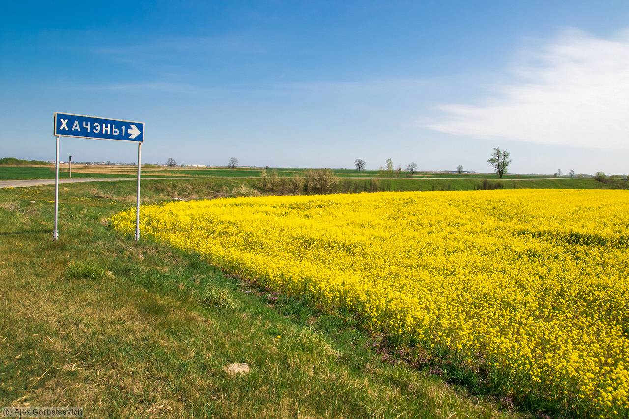 ������. ����� ������