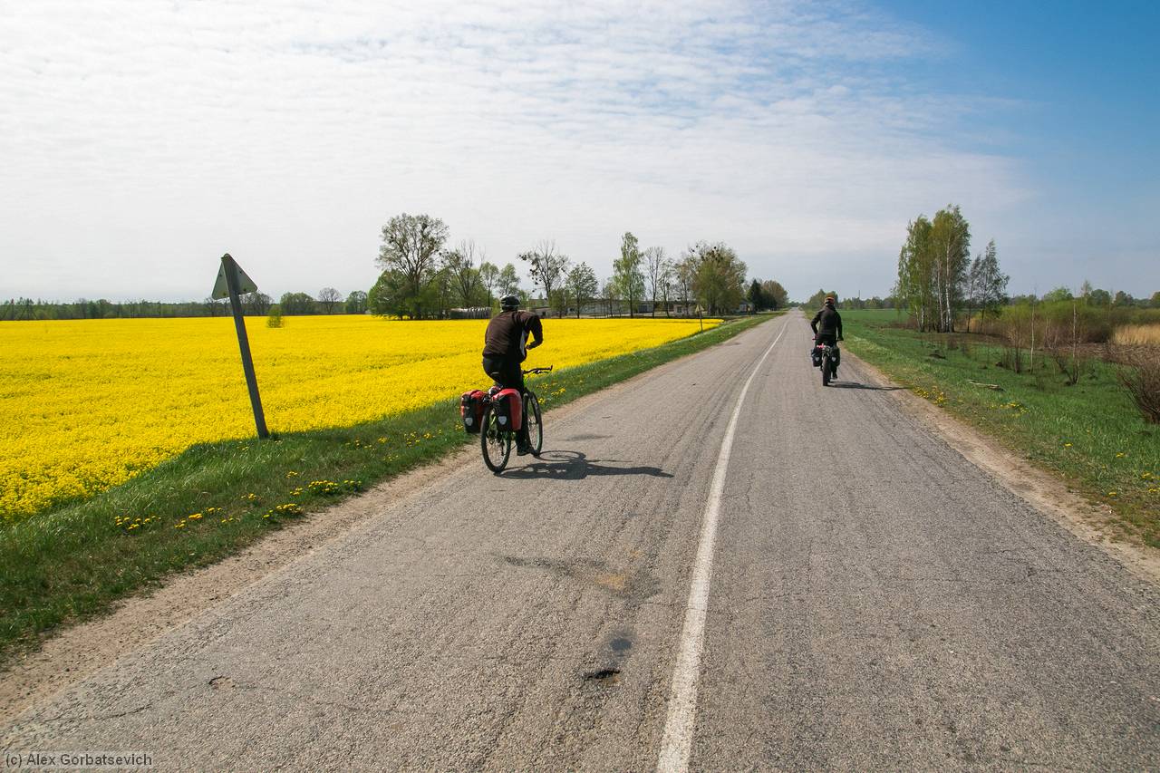 �� ������ ���� �����