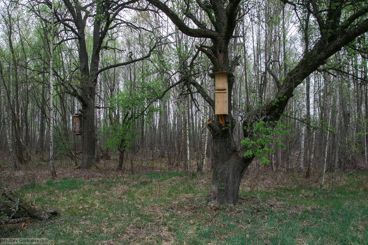 ����� �� ������