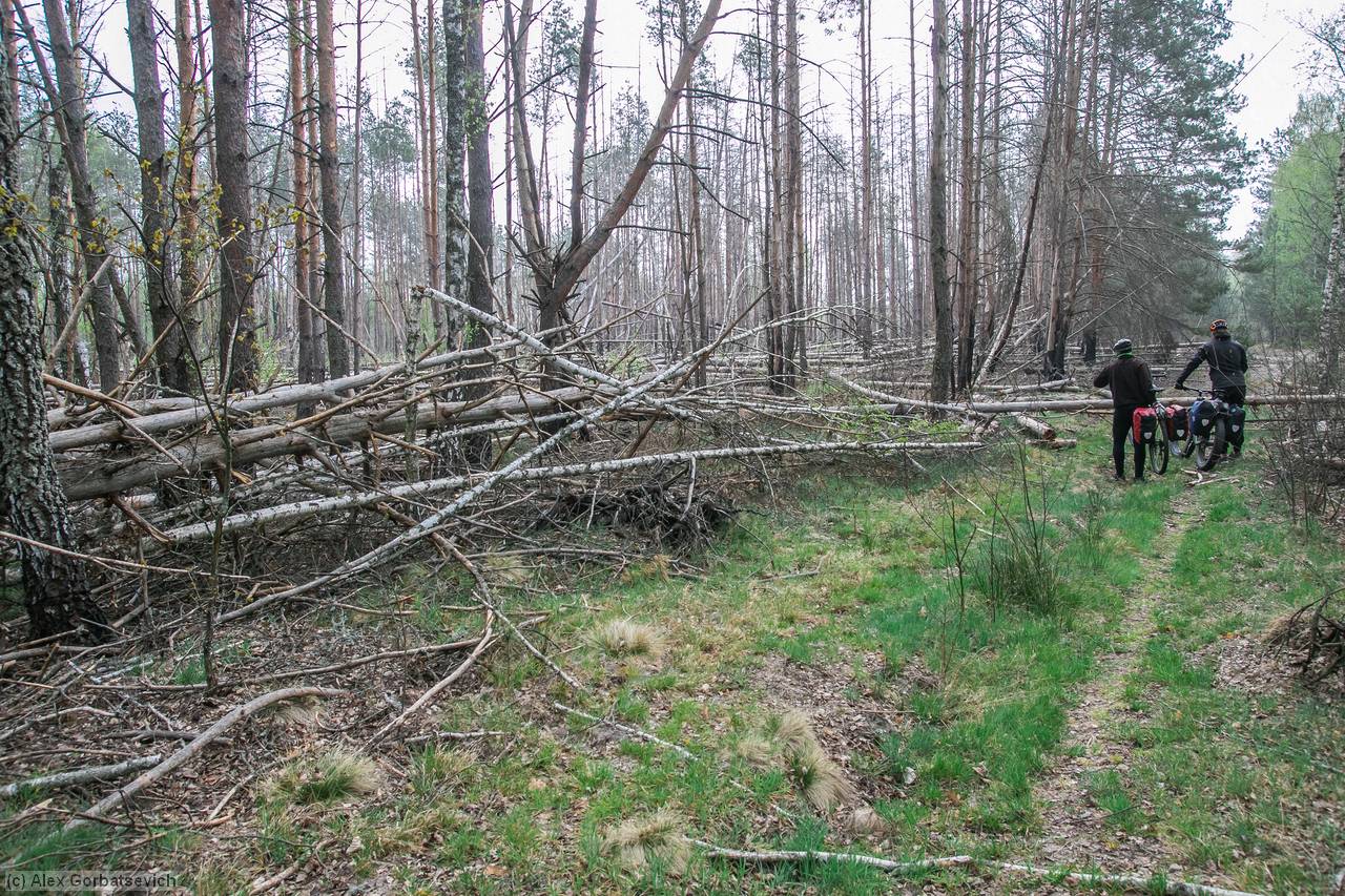 ������ �������