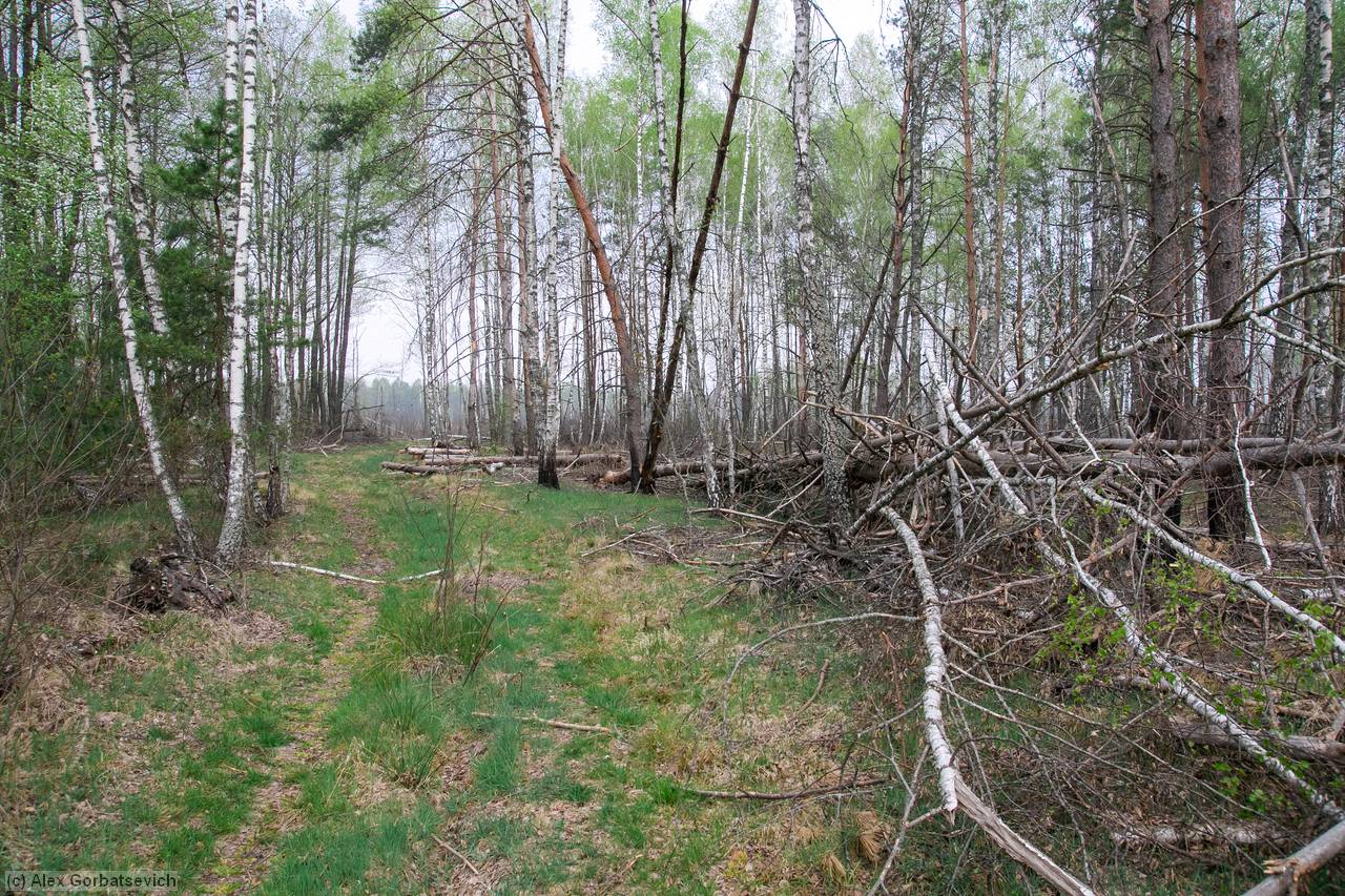 ������ �������