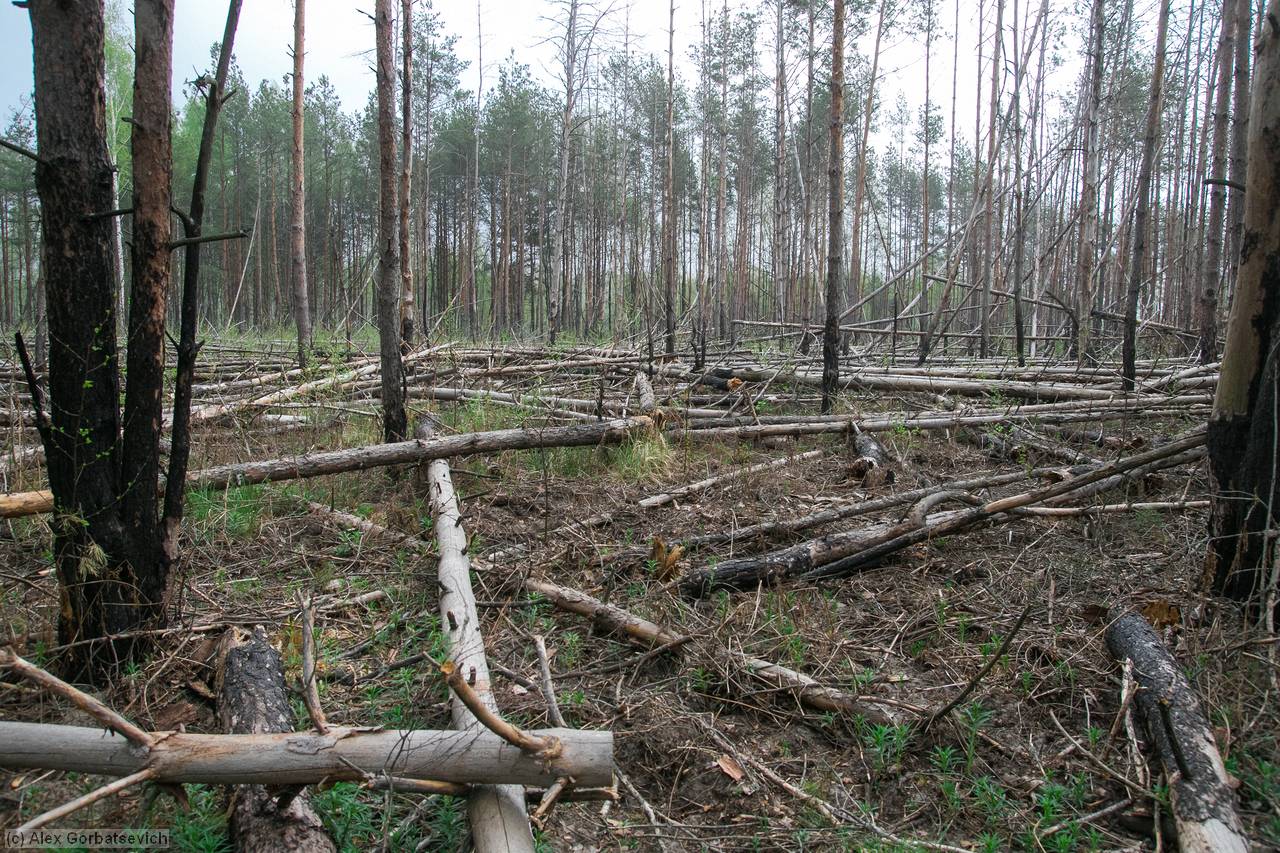 ������ �������