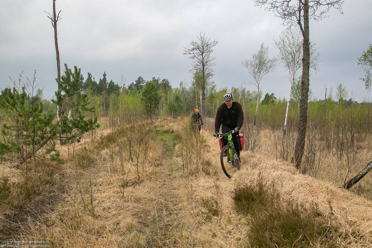 ����� ������