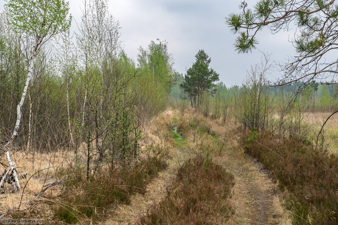 ������ ����� ������