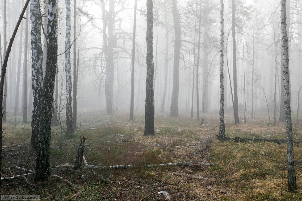 �������� ���