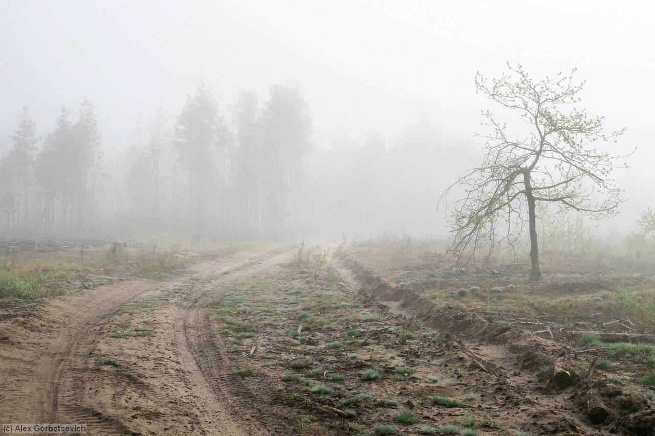 �������� ���