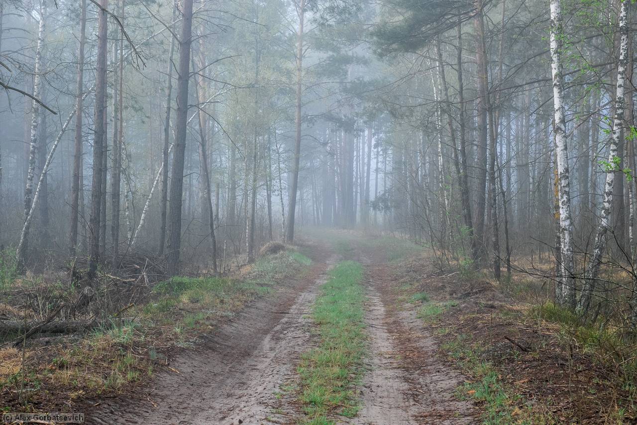 �������� ���