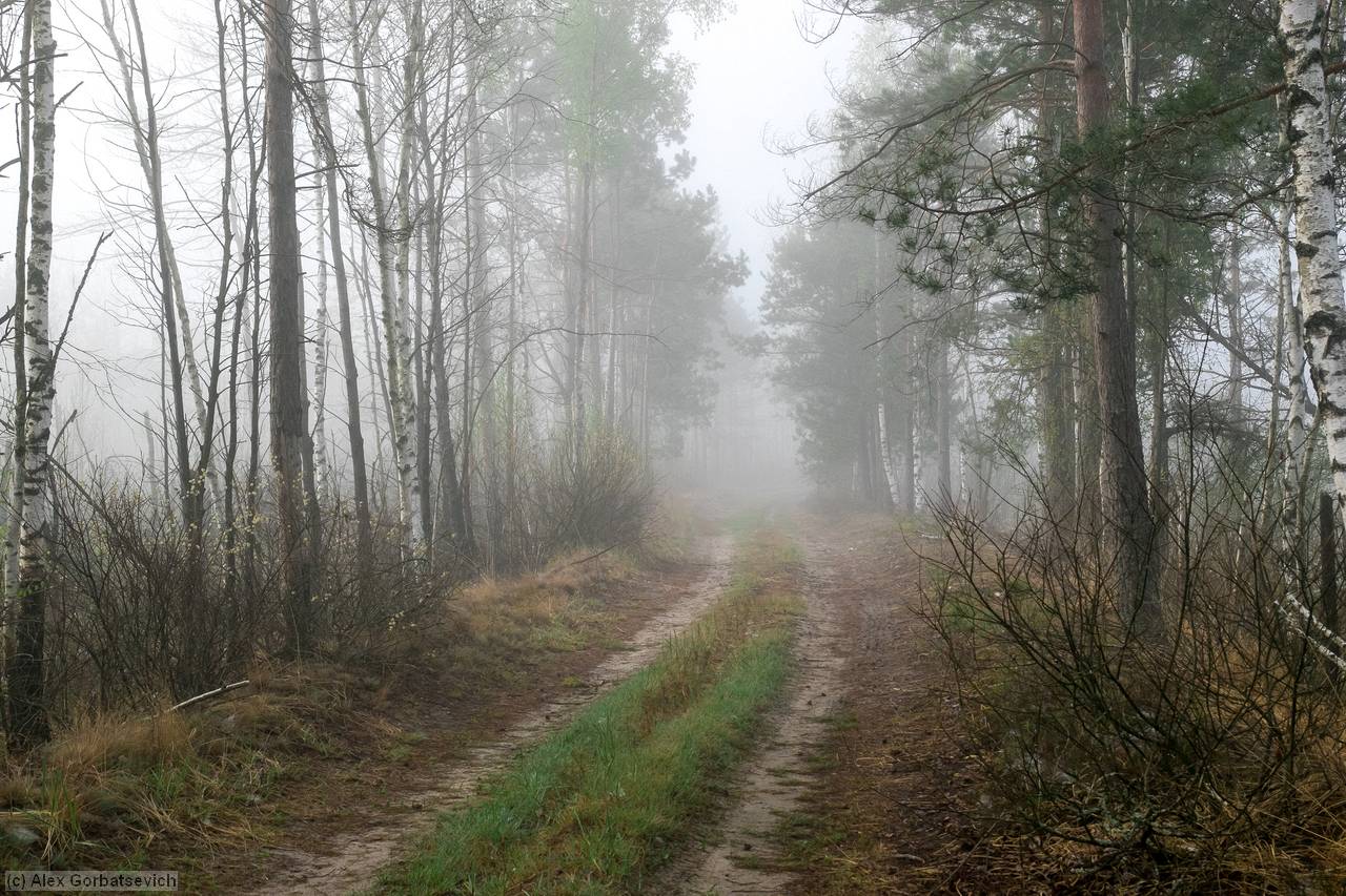 �������� ���