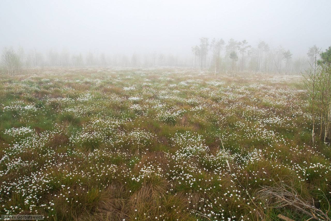 ���������� ������