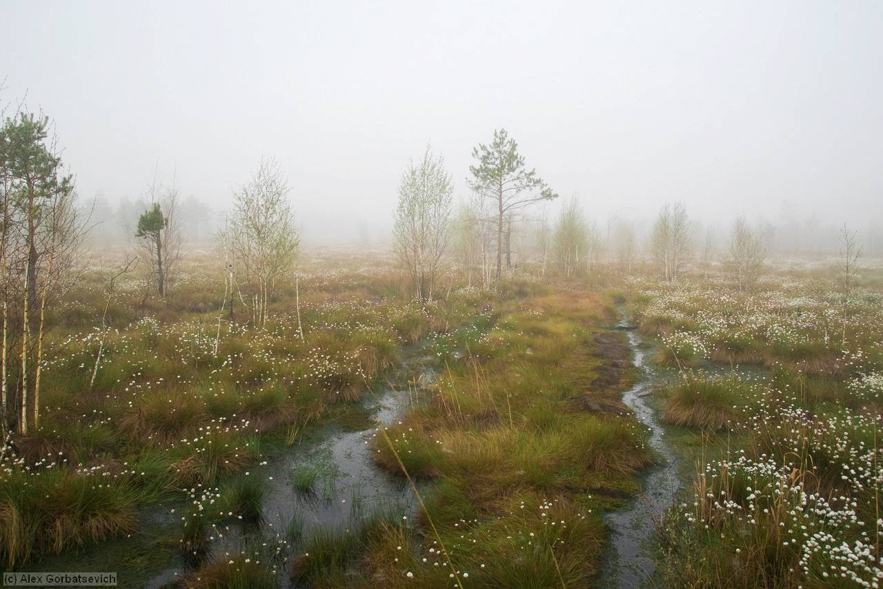 ���������� ������