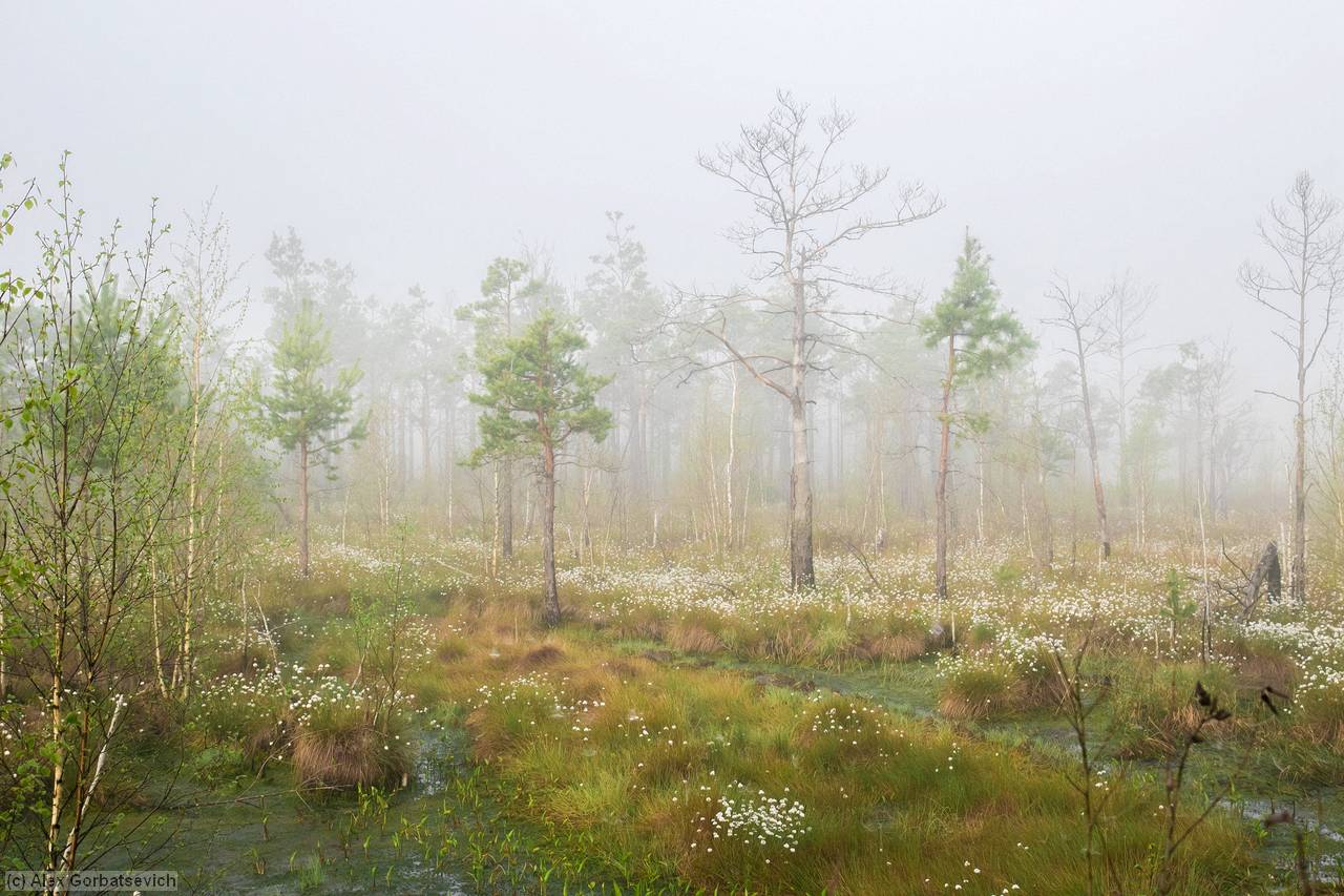 ���������� ������